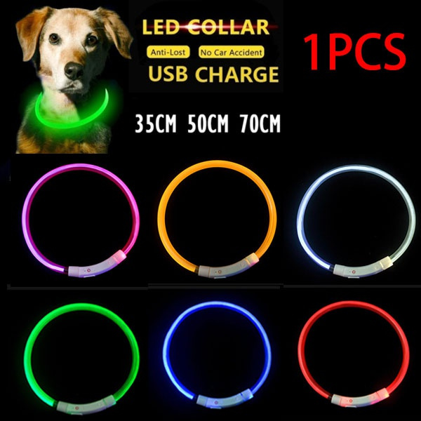 Delysia King illuminated Dog Collar Wish