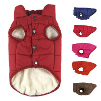 little dog jackets