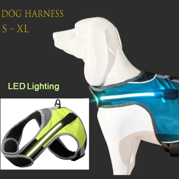 luminous dog harness