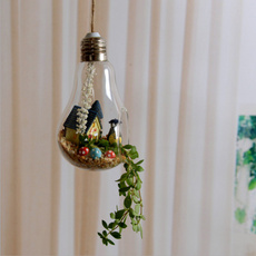Plants, lights, Home Decor, glassvase