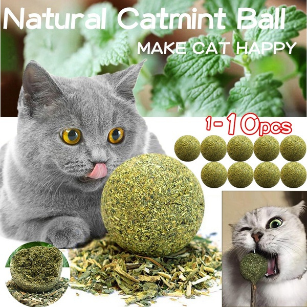 catnip ball toy