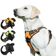 Pets, Running, Harness, Dogs
