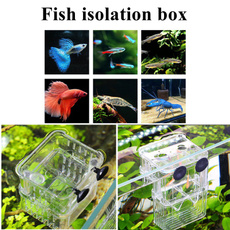 Box, fishisolationbox, Tank, fishrearingbox