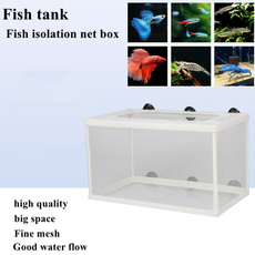 Box, fishisolationbox, fishhatchery, Tank