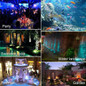 thumbnail - 12