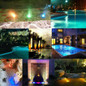 thumbnail - 13