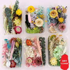 Box, Plants, Flowers, eternallifedriedflower