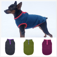 Fashion, Winter, autumn and winter, Pets