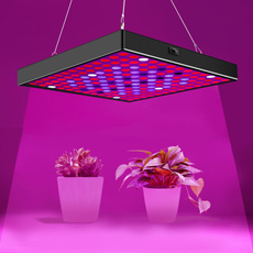 plantlamp, indoorlight, Plants, led