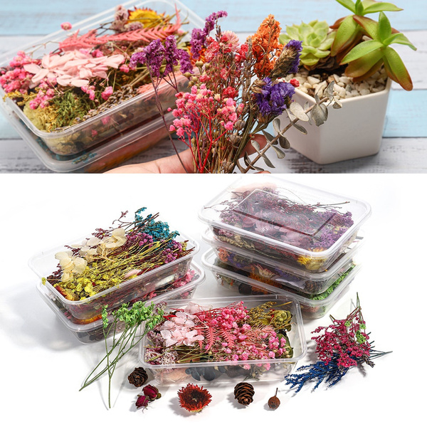 Real Dried Flower For Aromatherapy Candle DIY Epoxy Resin Craft Dried Plants  