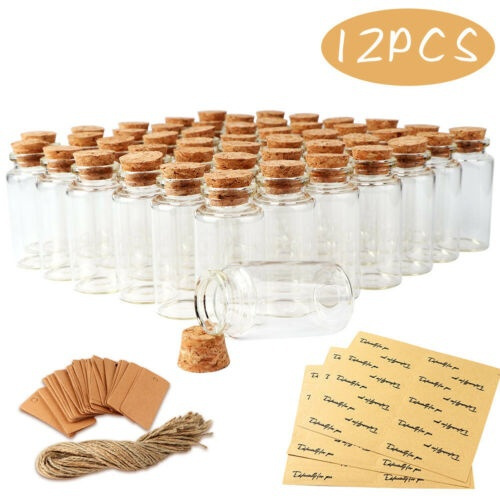12 Pieces 25ml Clear Glass Bottles with Cork Stoppers Mini Small