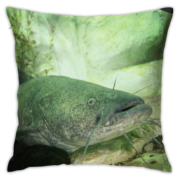 catfish pillow