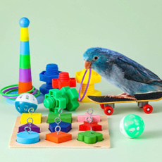Toy, parrotskateboard, birdtoy, parrottoy