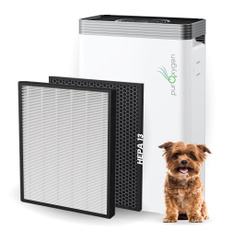 Home & Living, lights, purifier, Home & Kitchen