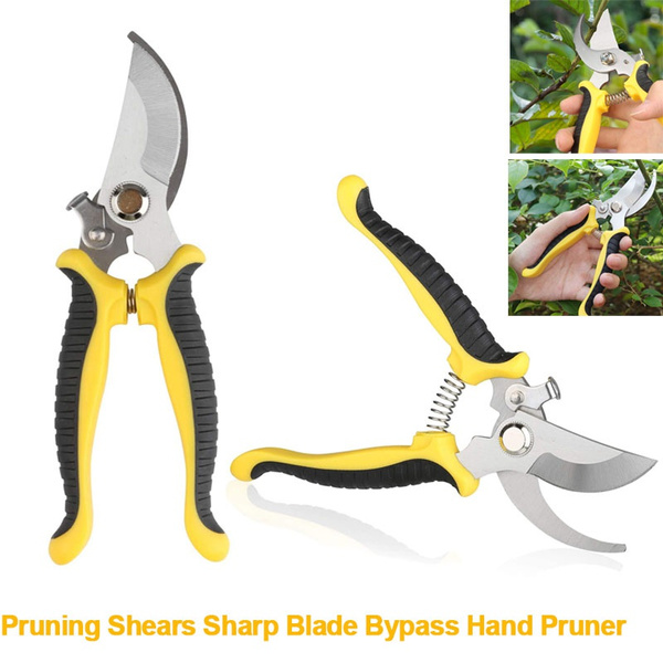 Fruit Scissor and Pruner