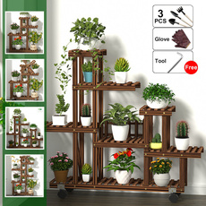 Bonsai, flowerdisplayholder, Plants, plantshelf