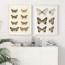 butterfly, Wall Art, Home Decor, Nature