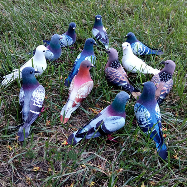 Toys for clearance pigeons