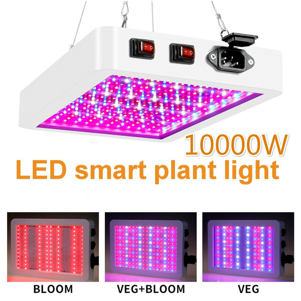 Wish led shop grow lights