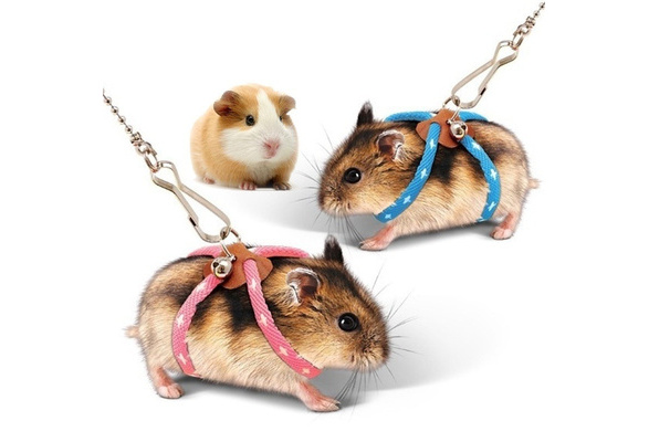 diy hamster leash