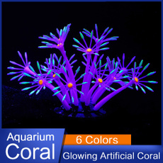 colorfulcoral, aquariumdecor, Plants, Tank