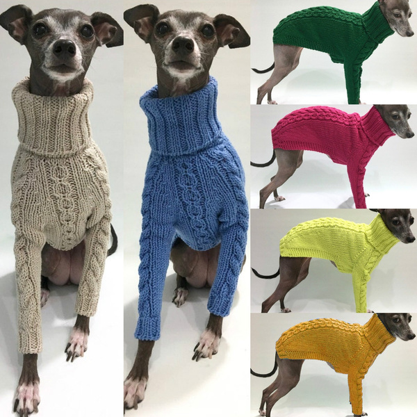 italian greyhound jumper