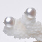 thumbnail - 2