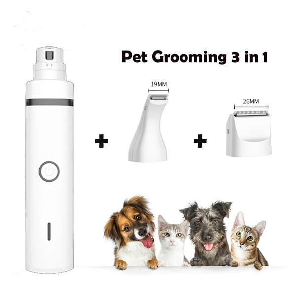 cat grooming machine