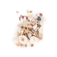 seashell, Mini, craftsmakingseashell, Gifts For Men