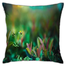 holdpillow, pillowshell, squarethrowpillowcase, Cases & Covers