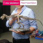 thumbnail - 9