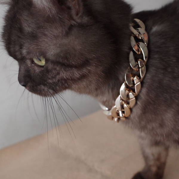 thick cat collars