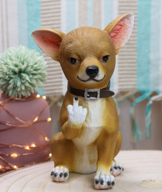 chihuahua, rude, Pets, feisty