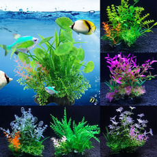aquariumdecor, Plants, Tank, watergra