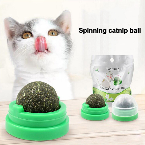 cat snack ball