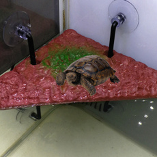 Turtle, aquariumdecor, turtletank, vividgrassladder