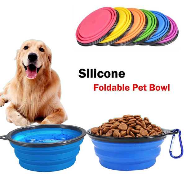 walking dog bowl