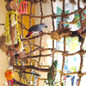 thumbnail - 1