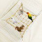 thumbnail - 2