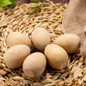 thumbnail - 2