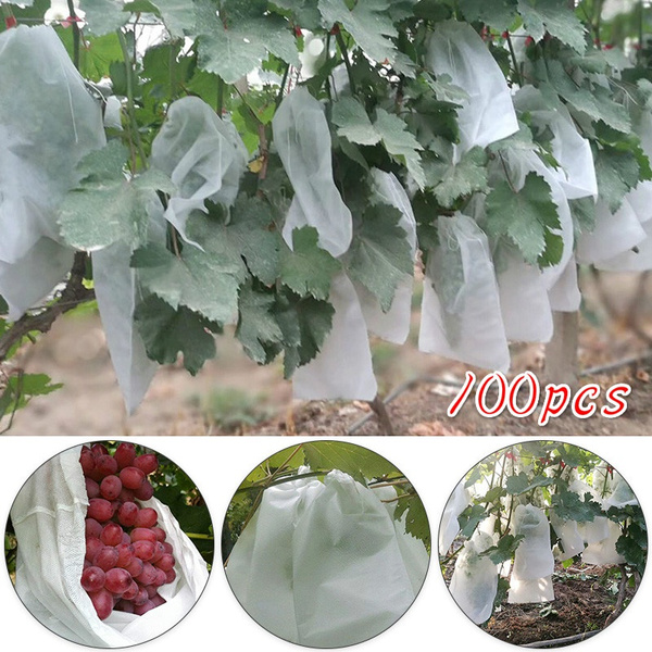100 Waterproof Garden Protection Bags For Fruit Grape Vegetable From Insect Bird 
