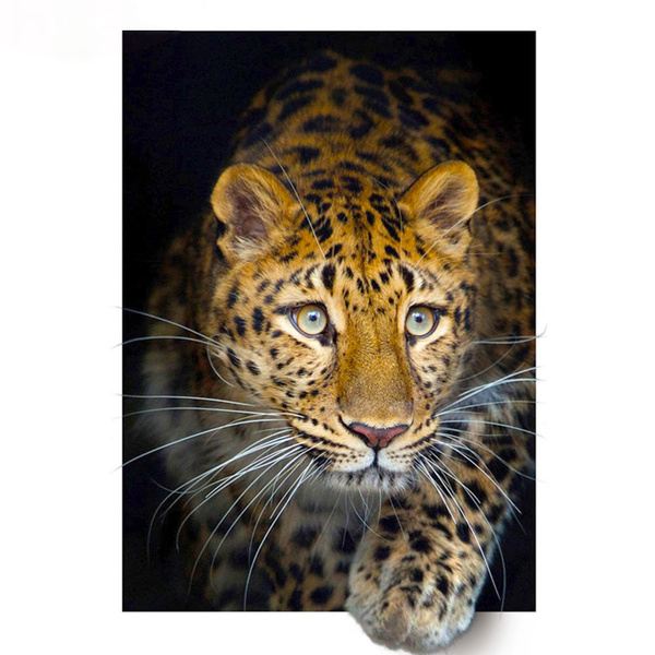 Cat Tigers, 5D Diamond Painting Kits