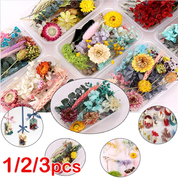 1 Box Mix Beautiful Real Dried Flowers Natural Floral for Art