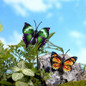 thumbnail - 3