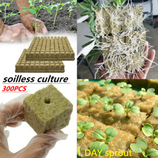 Mini, plantcontain, gardenhydroponic, hydroponic
