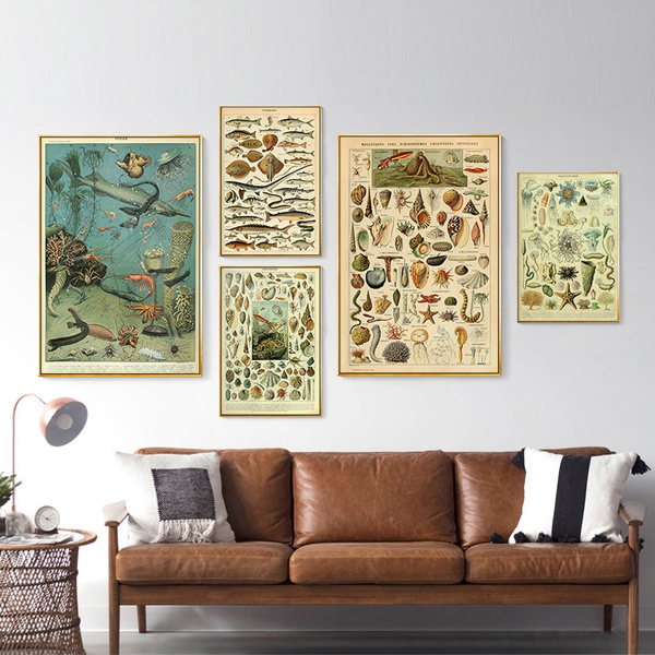 Vintage Biology Botanical Science Wall Pictures Sea Creature