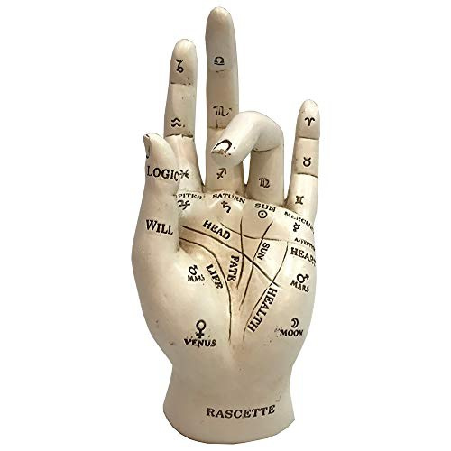 17.7cm White Polyresin Nemesis Now Palmistry Chriomancy Fortune Telling Hand Figurine 
