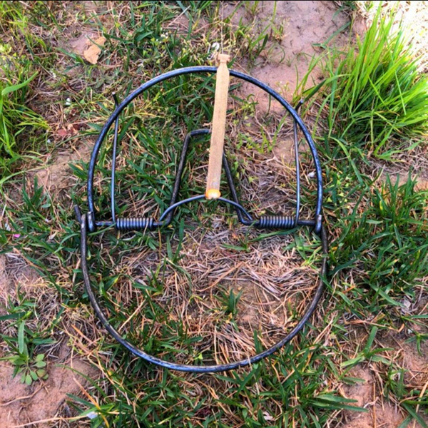 1pcs Diameter 180mm Bird trap Pigeon trap Quail hunter Pheasant trap ...