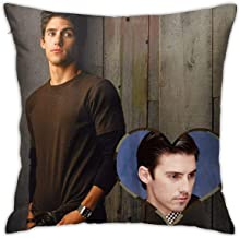 case, couchpillowcover, pillowshell, Gifts