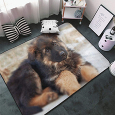 cute, Outdoor, Animal, Blanket